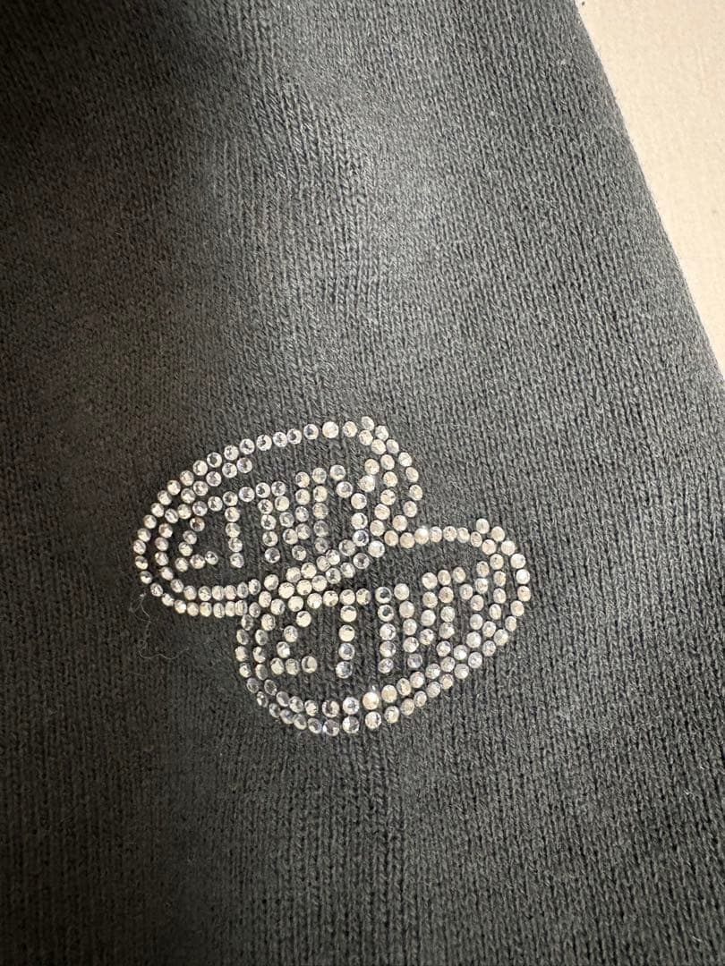 プレミアムツアーフーディー（Premium Tour Hoodie）