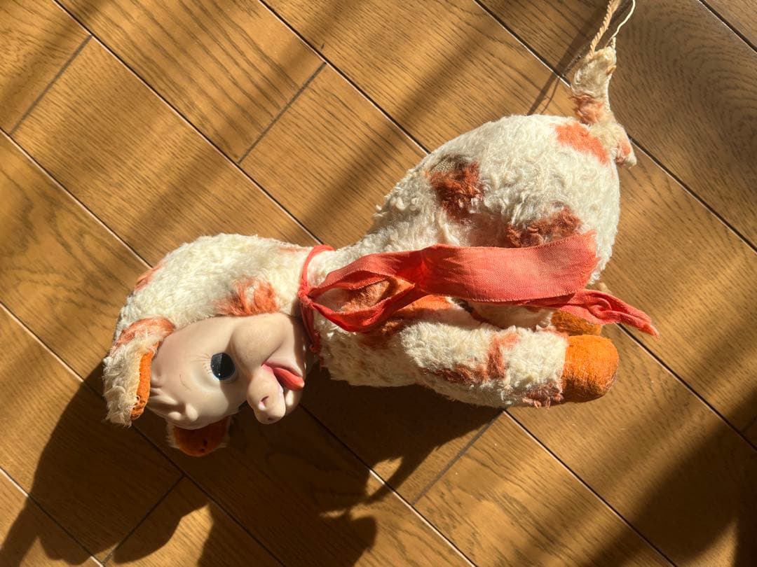 ラシュトン　ラバーフェイス　Rushton Star Creation