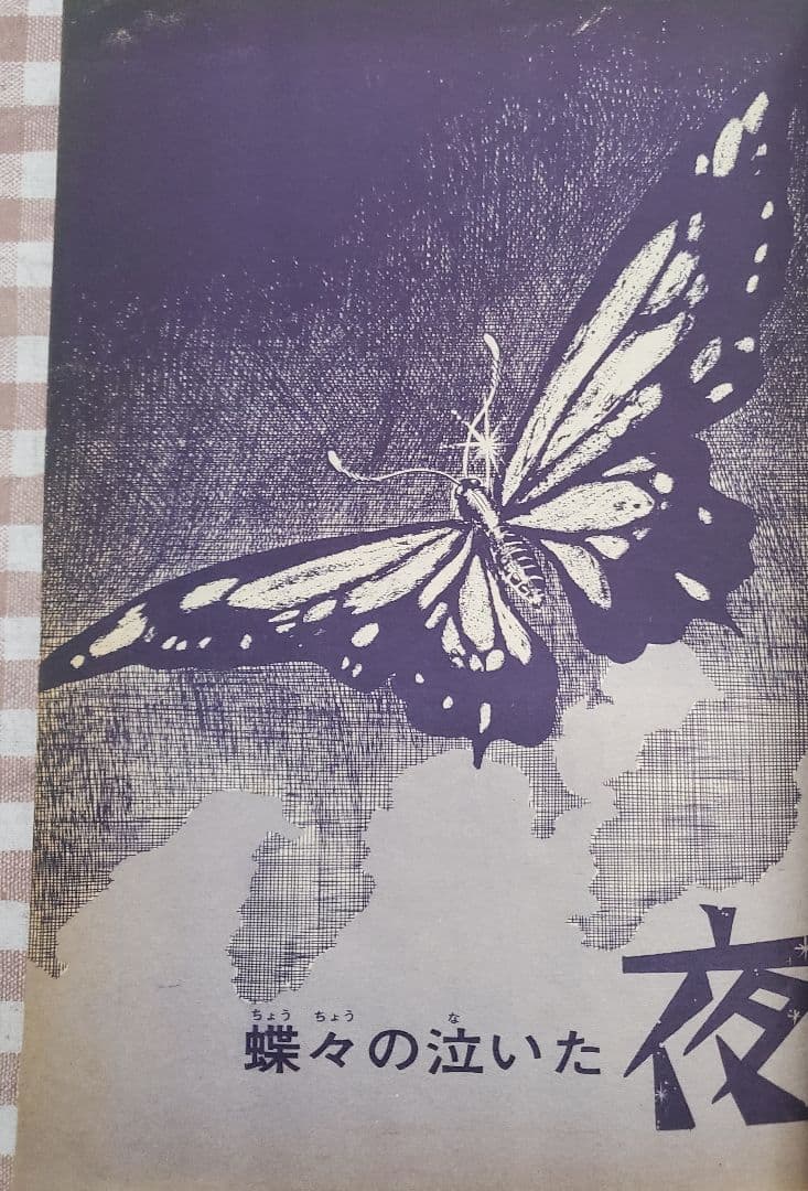 新春セール！ＣＯＭ増刊号「ノアをさがして＊矢代まさこ特集」樹村みのり作品併載