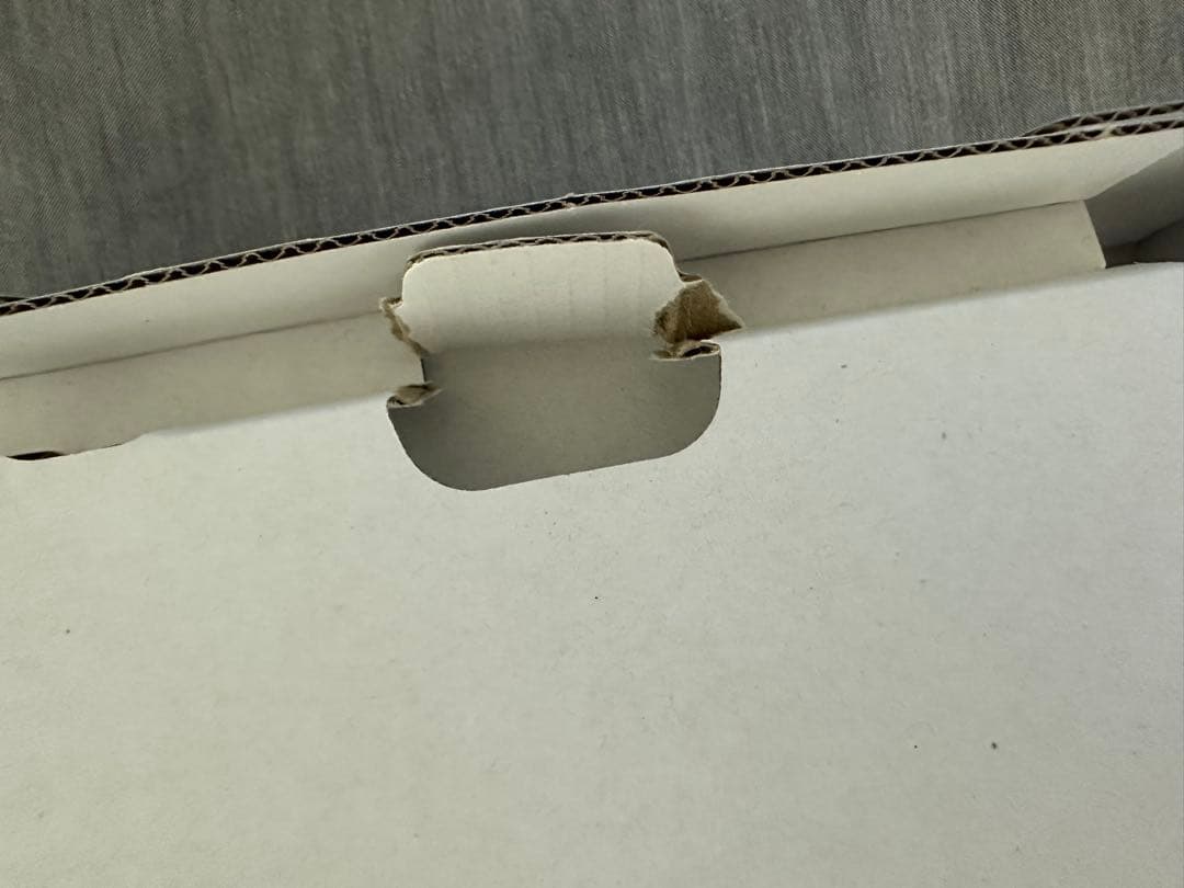 Nintendo Switch Lite ターコイズ ＋ あつ森